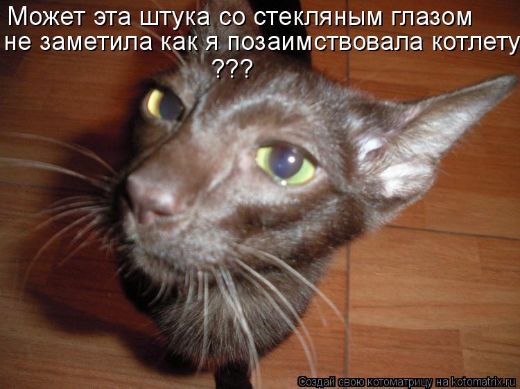 Котоматрица: Может эта штука со стекляным глазом не заметила как я позаимствовала котлету? ???