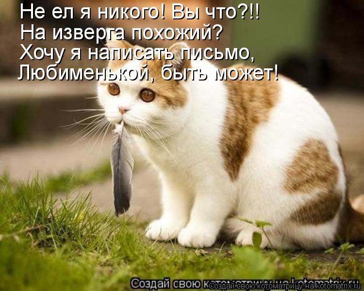 Котоматрица: Любименькой, быть может! Не ел я никого! Вы что?!! Хочу я написать письмо, На изверга похожий?