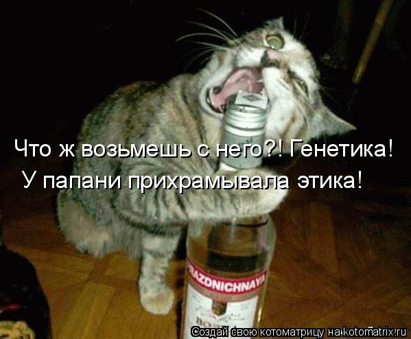 Котоматрица: Что ж возьмешь с него?! Генетика! У папани прихрамывала этика!