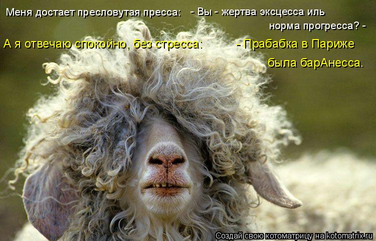 Меня достает пресловутая пресса: - Вы - жертва эксцесса иль норма прогресса? - А я отвечаю спокойн... Котоматрица: Меня достает пресловутая пресса: - Вы - жертва эксцесса иль норма прогресса? - А я отвечаю спокойно, без стресса: - Прабабка в Париже был