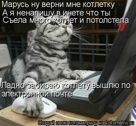 Котоматрица: Марусь ну верни мне котлетку А я ненапишу в инете что ты  Съела много котлет и потолстела Ладно забираю котлету вышлю по электронной почте