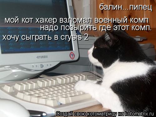 Котоматрица: балин...пипец мой кот хакер взломал военный комп надо позырить где этот комп. хочу сыграть в crysis 2