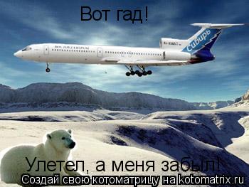 Котоматрица: Вот гад! Улетел, а меня забыл!