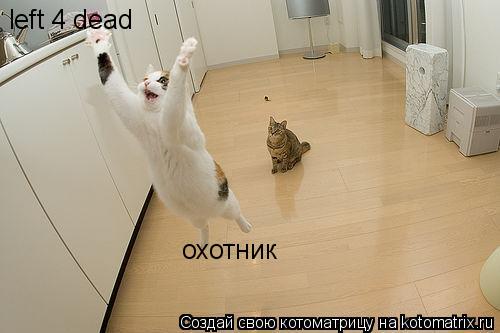 Котоматрица: left 4 dead охотник