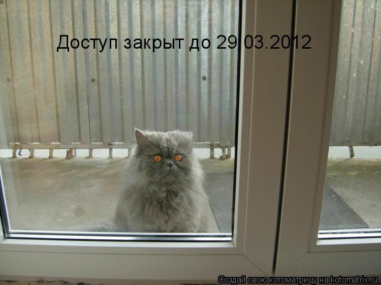 Котоматрица: Доступ закрыт до 29.03.2012