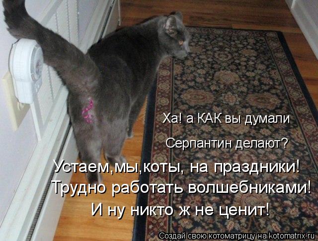 Котоматрица: Ха! а КАК вы думали Серпантин делают? Устаем,мы,коты, на праздники! Трудно работать волшебниками! И ну никто ж не ценит!
