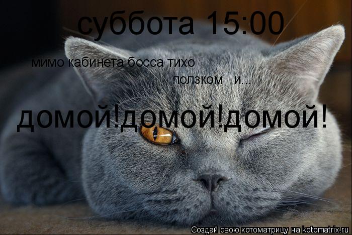 Котоматрица: суббота 15:00 мимо кабинета босса тихо ползком и... домой!домой!домой!