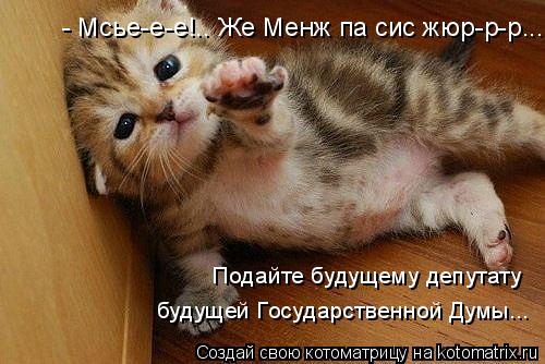 Котоматрица: - Мсье-е-е!.. Же Менж па сис жюр-р-р... Подайте будущему депутату будущей Государственной Думы...