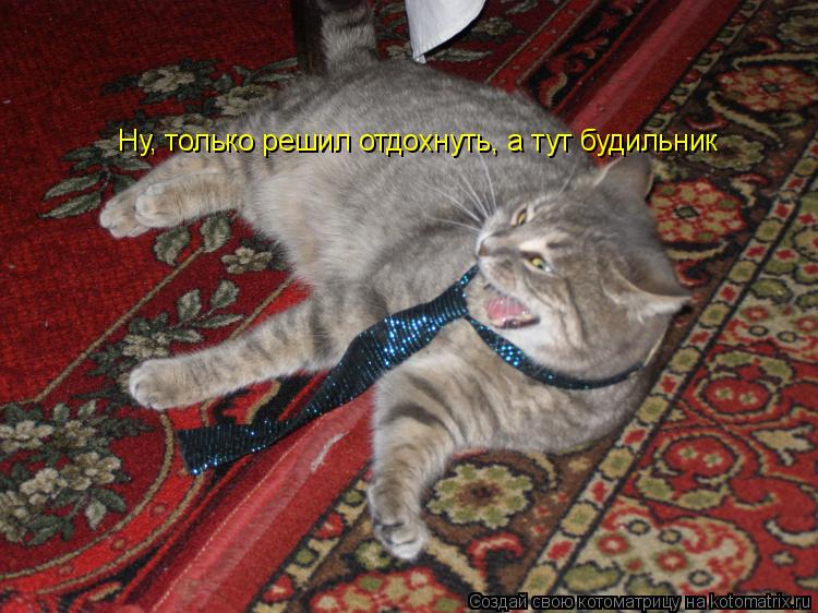 Котоматрица: Ну, только решил отдохнуть, а тут будильник