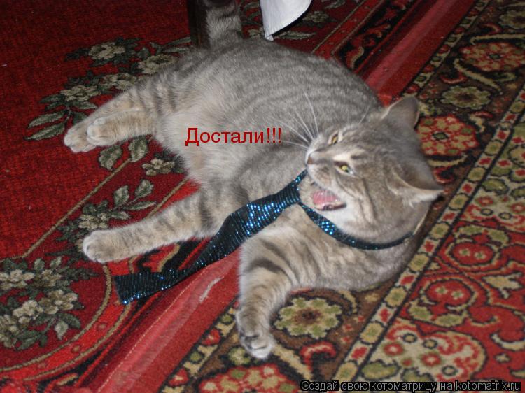 Котоматрица: Достали!!!