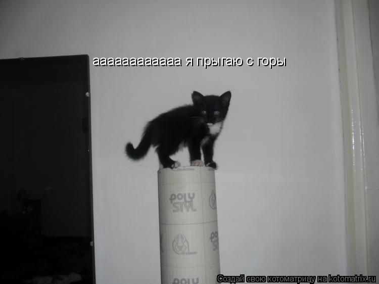 Котоматрица: аааааааааааа я прыгаю с горы