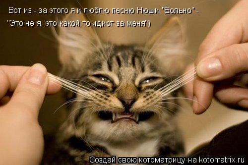 Котоматрица: Вот из - за этого я и люблю песню Нюши "Больно" - "Это не я, это какой то идиот за меня")