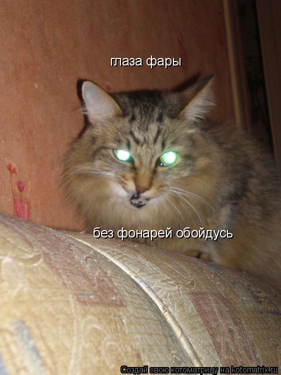 Котоматрица: глаза фары без фонарей обойдусь