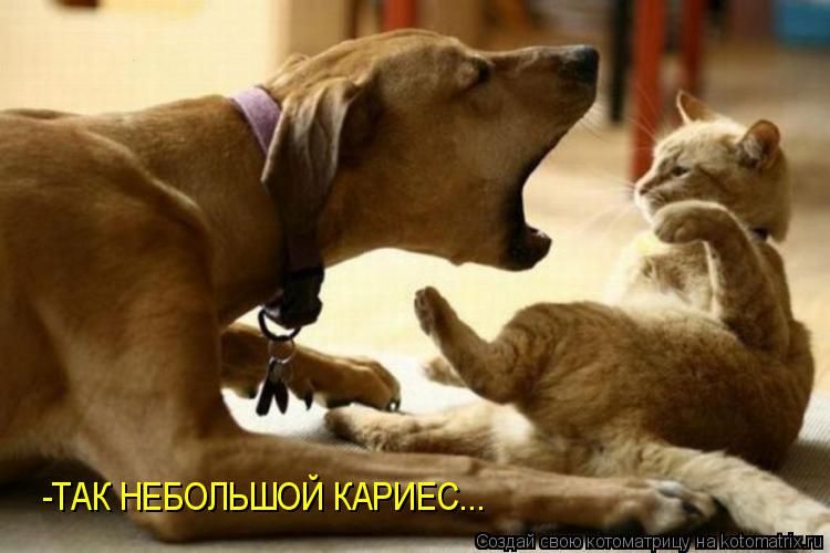 Котоматрица: -ТАК НЕБОЛЬШОЙ КАРИЕС...