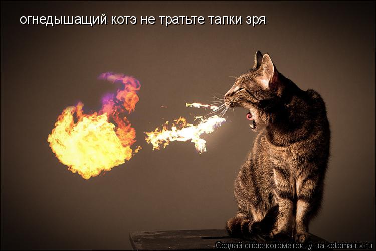 огнедышащий котэ не тратьте тапки зря... Котоматрица: огнедышащий котэ не тратьте тапки зря