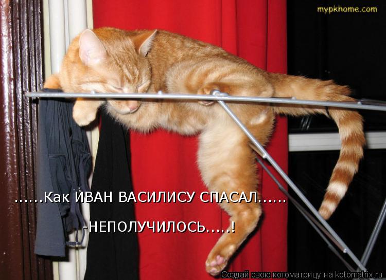 Котоматрица: ......Как ИВАН ВАСИЛИСУ СПАСАЛ...... -НЕПОЛУЧИЛОСЬ.....!