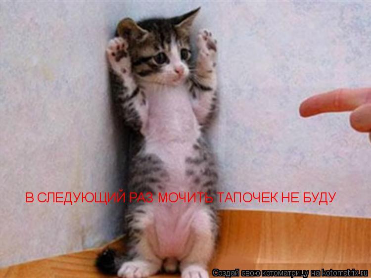 Котоматрица: В СЛЕДУЮЩИЙ РАЗ МОЧИТЬ ТАПОЧЕК НЕ БУДУ В СЛЕДУЮЩИЙ РАЗ МОЧИТЬ ТАПОЧЕК НЕ БУДУ
