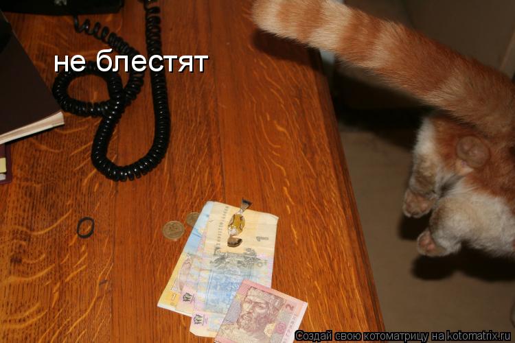 Котоматрица: не блестят