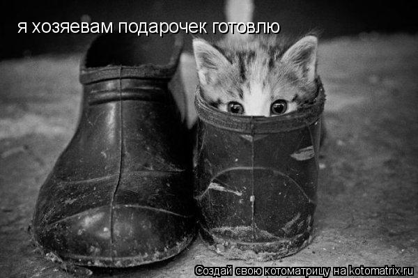Котоматрица: я хозяевам подарочек готовлю