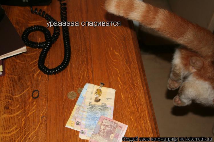Котоматрица: ураааааа спариватся