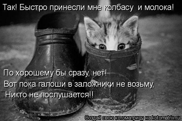 Котоматрица: Так! Быстро принесли мне колбасу  и молока! Вот пока галоши в заложники не возьму, По хорошему бы сразу, нет! Никто не послушается!!