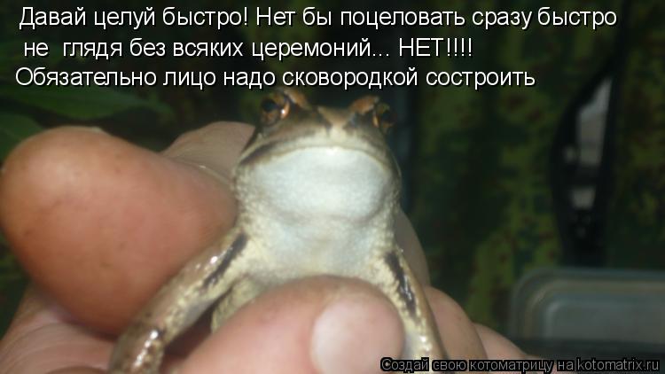 Котоматрица: Давай целуй быстро! Нет бы поцеловать сразу быстро  не  глядя без всяких церемоний... НЕТ!!!! Обязательно лицо надо сковородкой состроить