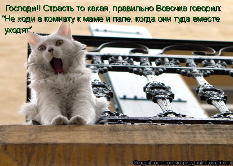 Котоматрица: Господи!! Страсть то какая, правильно Вовочка говорил: "Не ходи в комнату к маме и папе, когда они туда вместе  уходят".