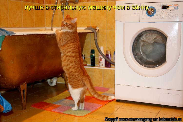 лучше в стиральную машину чем в ванну...... Котоматрица: лучше в стиральную машину чем в ванну...