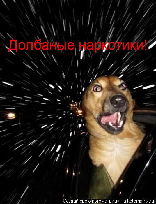 Котоматрица: Долбаные наркотики!