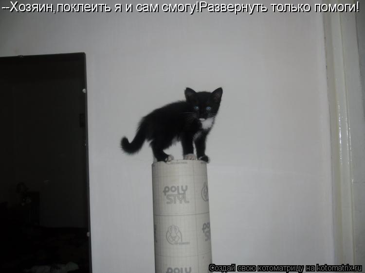Котоматрица: --Хозяин,поклеить я и сам смогу!Развернуть только помоги!