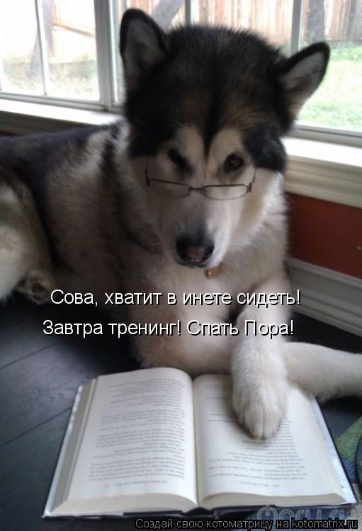 Котоматрица: Сова, хватит в инете сидеть!  Завтра тренинг! Спать Пора!