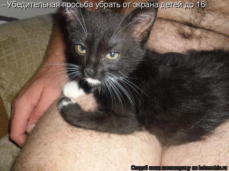 Котоматрица: --Убедительная просьба убрать от экрана детей до 16!