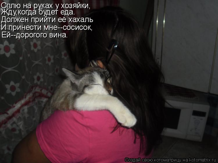 Котоматрица: Сплю на руках у хозяйки, Жду,когда будет еда. Должен прийти её хахаль И принести мне--сосисок, Ей--дорогого вина.