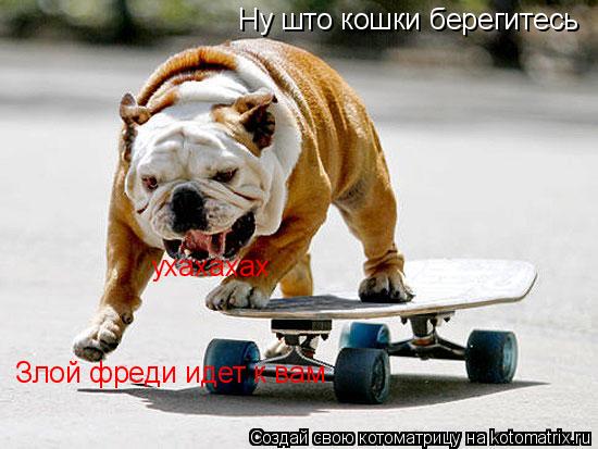 Котоматрица: Ну што кошки берегитесь Злой фреди идет к вам ухахахах