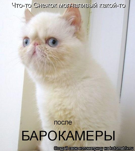 Котоматрица: Что-то Снежок молчаливый какой-то после БАРОКАМЕРЫ