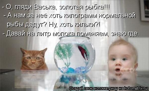 Котоматрица: - А нам за неё хоть килограмм нормальной рыбы дадут? Ну, хоть кильки?! - Давай на литр молока поменяем, знаю где. - О, гляди Васька, золотая рыбка