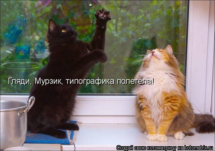 * Гляди, Мурзик, типографика полетела!... Котоматрица: * Гляди, Мурзик, типографика полетела!