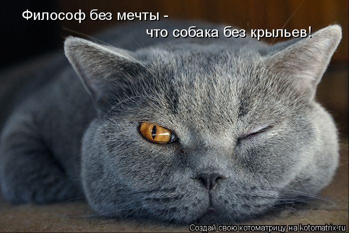 Котоматрица: Философ без мечты -  что собака без крыльев!