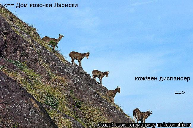 Котоматрица: Дом козочки Лариски Дом козочки Лариски кож/вен диспансер <== ==>