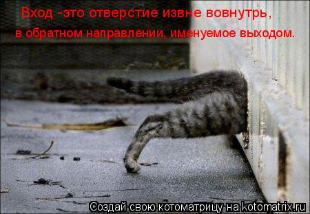 Котоматрица: Вход -это отверстие извне вовнутрь, в обратном направлении, именуемое выходом.