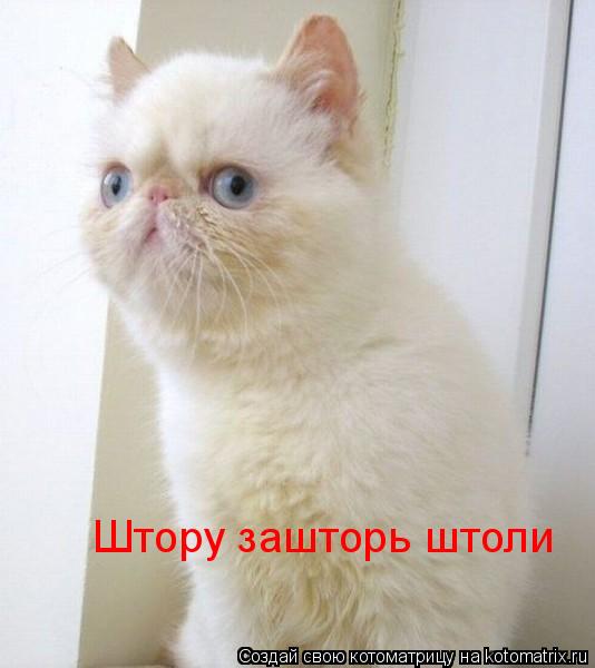 Котоматрица: Штору зашторь штоли