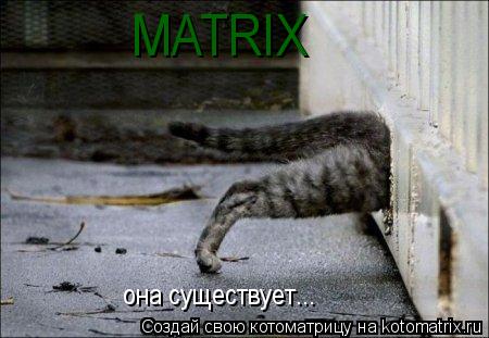 Котоматрица: MATRIX она существует...