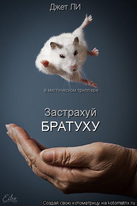 Котоматрица: Джет ЛИ в мистическом триллере Застрахуй БРАТУХУ