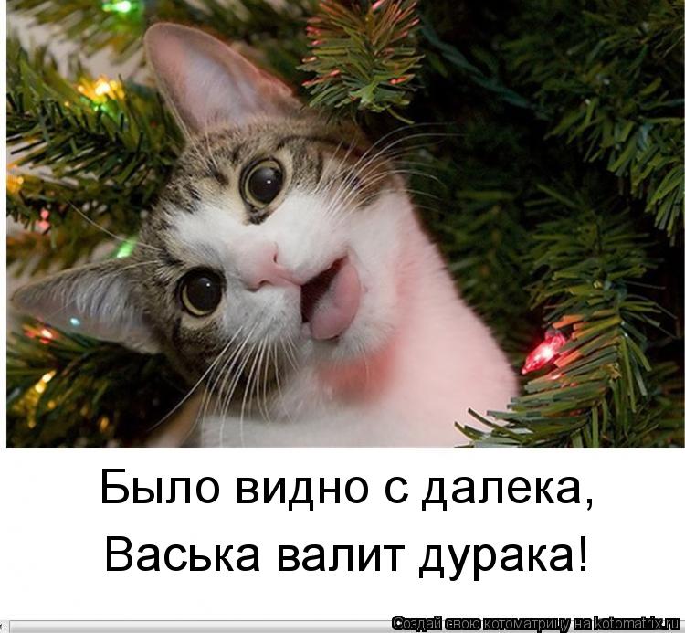 Было видно с далека, Васька валит дурака!... Котоматрица: Было видно с далека, Васька валит дурака!