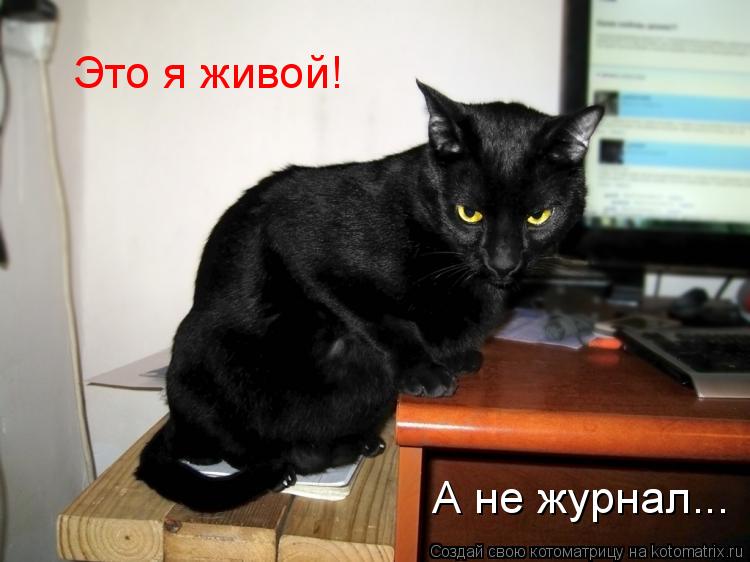 Котоматрица: Это я живой! А не журнал...