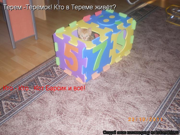 Котоматрица: Терем -Теремок! Кто в Тереме живёт? Кто - Кто.  Кот Барсик и всё!