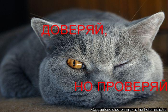 Котоматрица: ДОВЕРЯЙ, НО ПРОВЕРЯЙ!