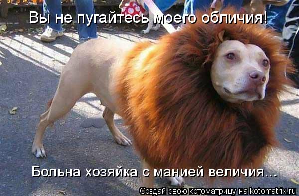 Котоматрица: Больна хозяйка с манией величия... Вы не пугайтесь моего обличия!