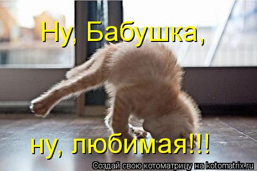 Котоматрица: Ну, Бабушка, ну, любимая!!!