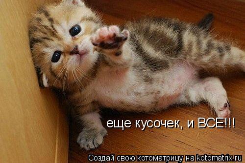 Котоматрица: еще кусочек, и ВСЕ!!!